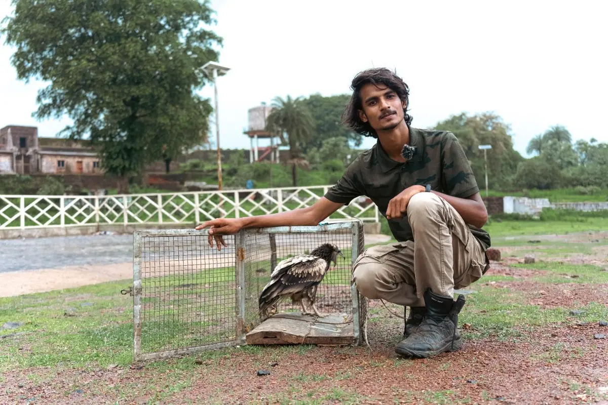 Laabh Yadav, co-founder of Finding Fauna, during a wildlife rescue near Kuno