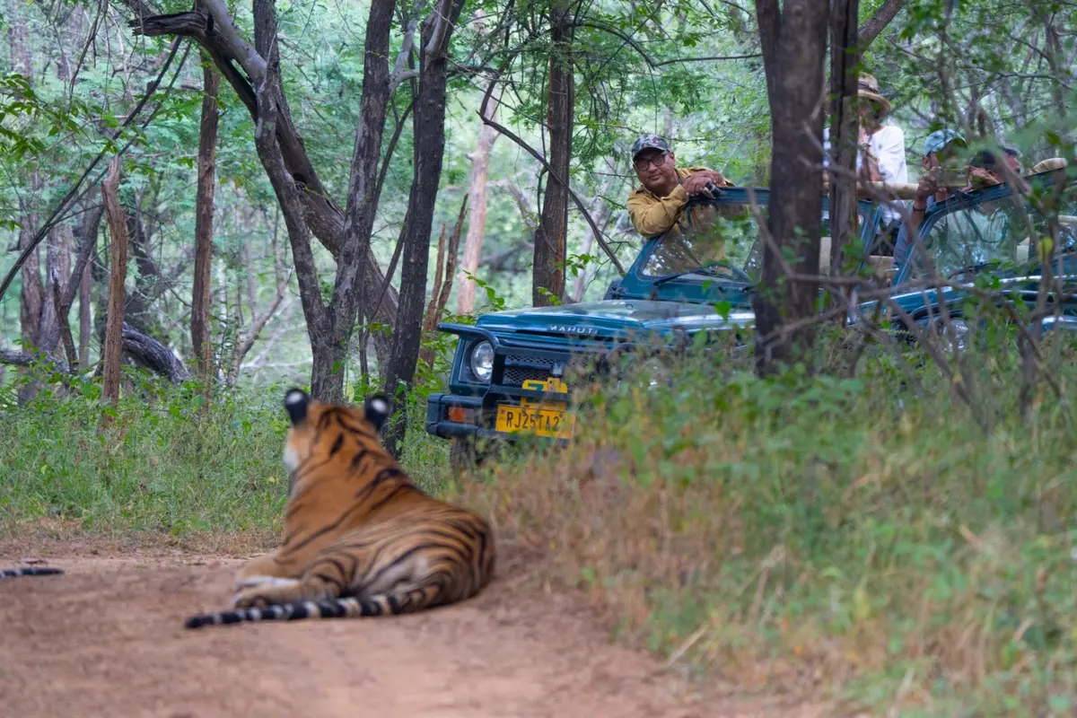 Sawai Madhopur (Ranthambore National Park) — Kuno National Park, Madhya Pradesh