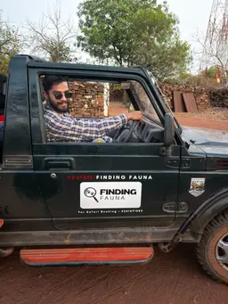 Parmeshwar Sharma, Kuno National Park safari guest