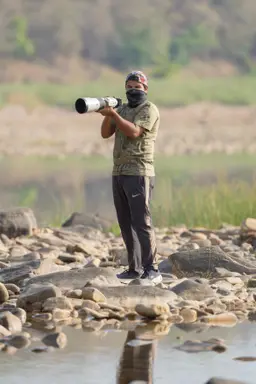 Saif Khan, Kuno National Park safari guest