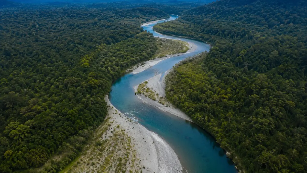The Kuno river flowing through riverine forest inside Kuno National Park